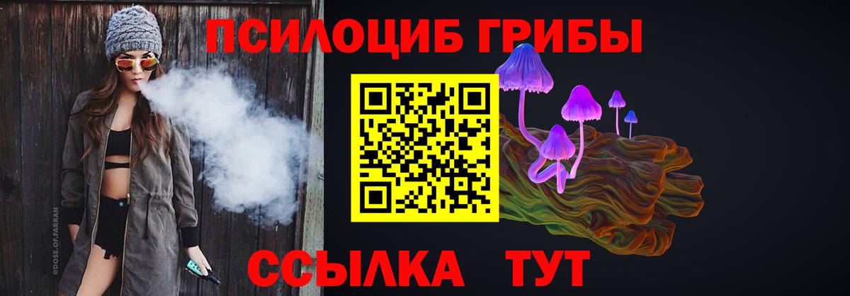 Шелехов  Галлюциногенные грибы прущие грибы  Вход с VPN  Псилоцибиновые грибы MAGIC MUSHROOMS 